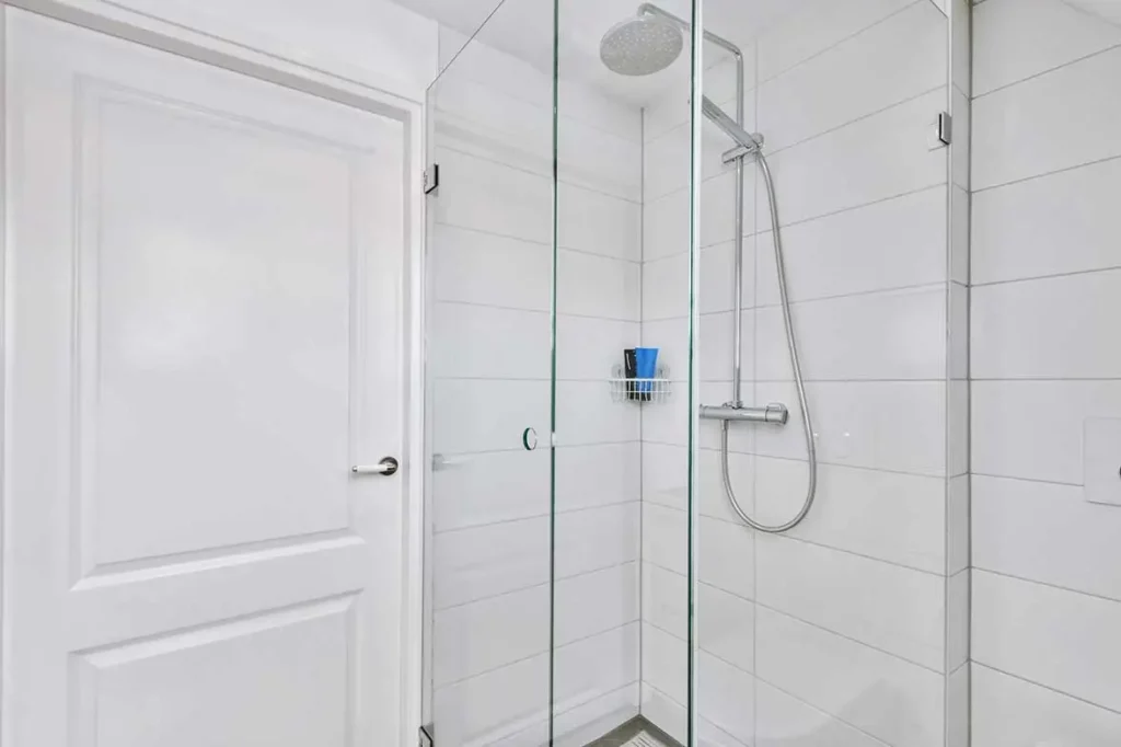 shower door frameless